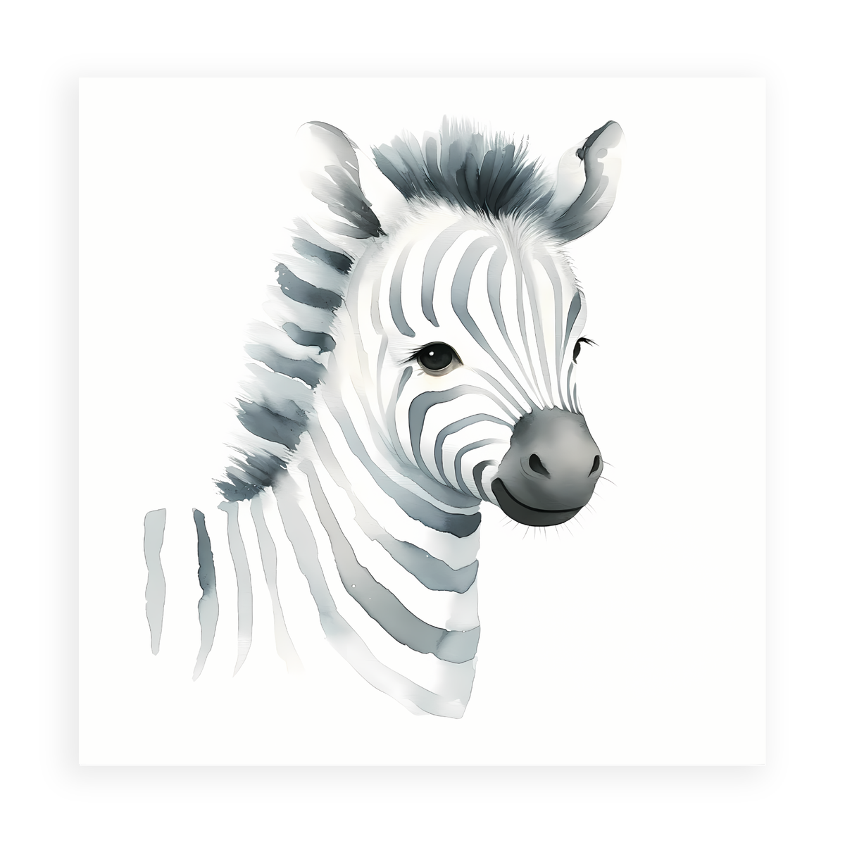 Zany Zebra